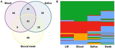 Improving the Molecular Diagnosis of Malaria: Droplet Digital PCR-Based Method Using Saliva as a DNA Source